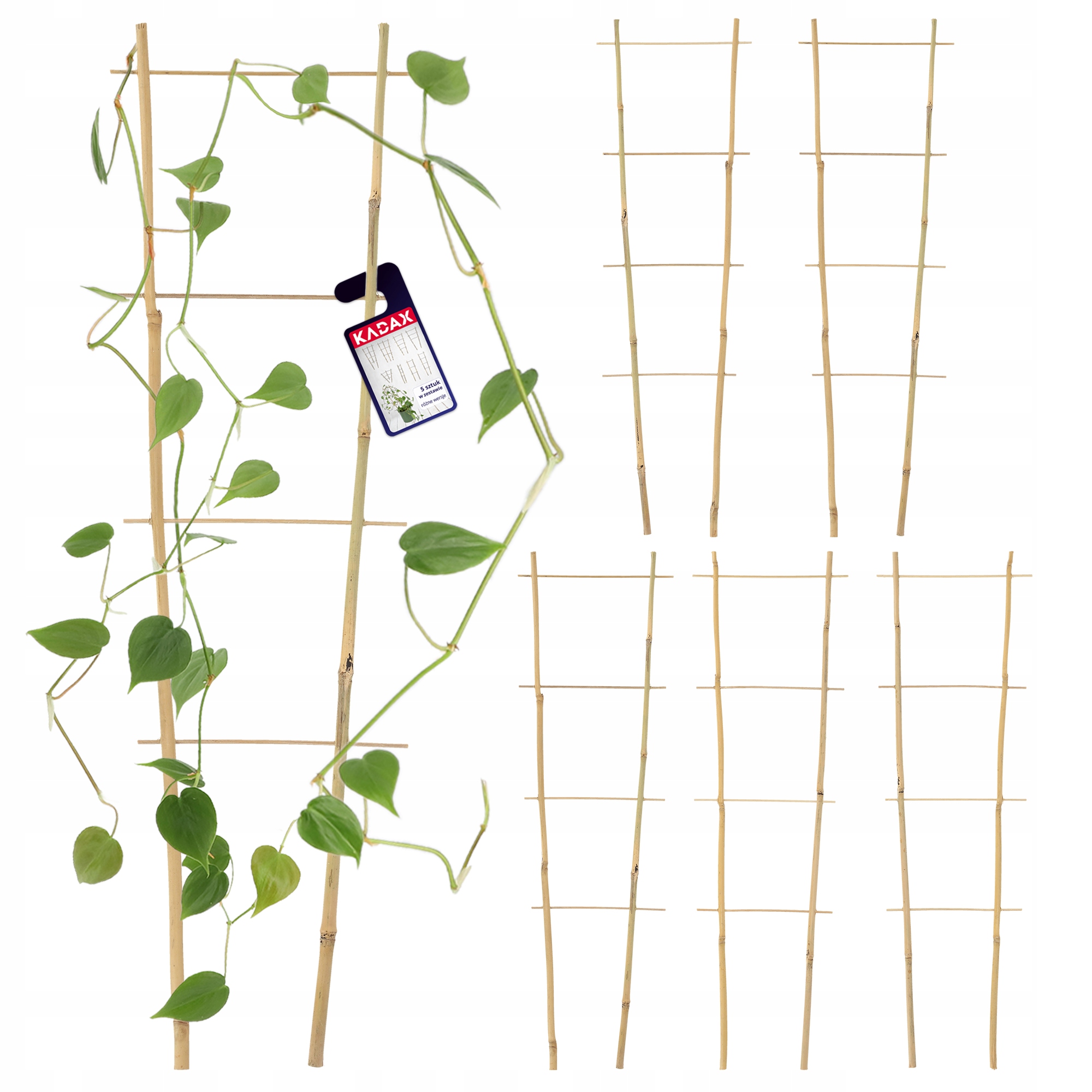 DRABINKA BAMBUSOWA PERGOLA PODPORA 60 CM 5 SZT