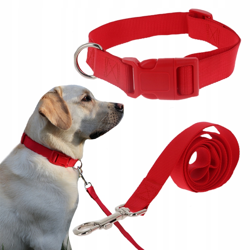 

Komplet Smycz Obroża Regulowana Dla Psa 20mm L