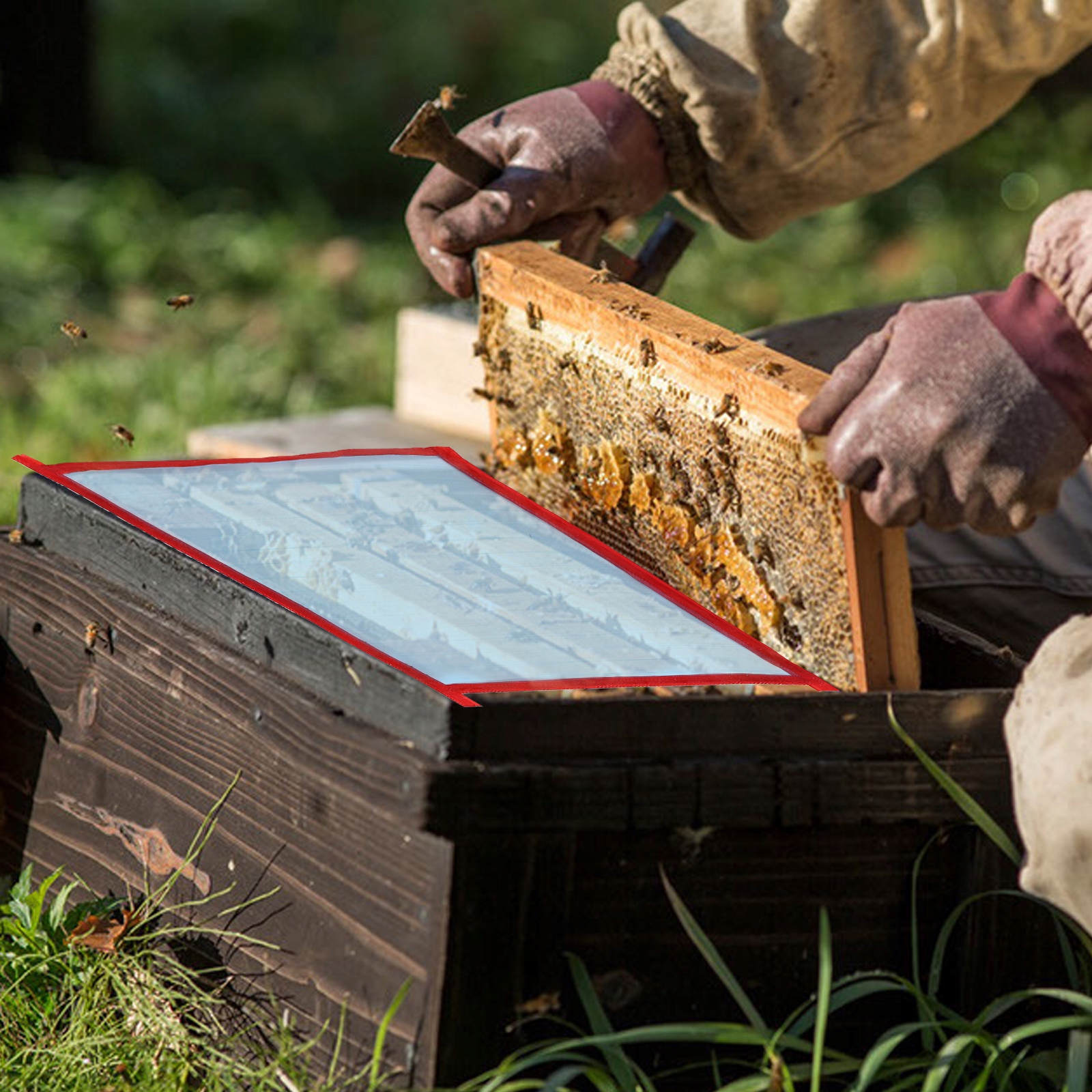 PUDEŁKO Z SIATKI ULI DOMOWEJ POKRYWA DO PIASKU 3 SZT Producent inna