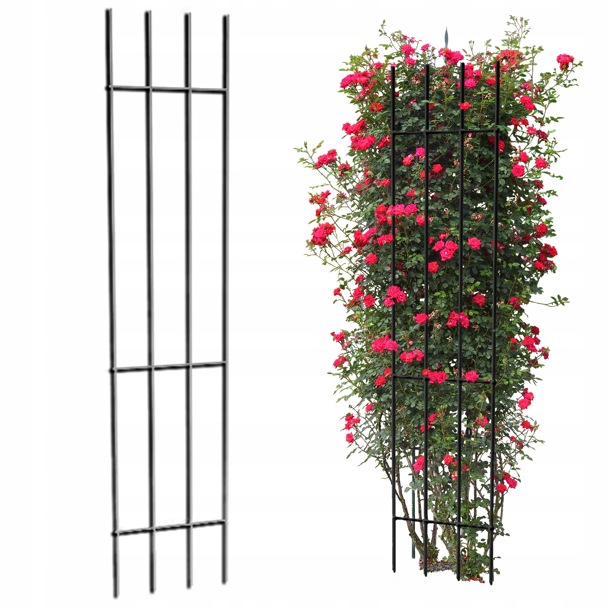 

Pergola Ogrodowa Tarasowa Do Róż Wina Pomidorów
