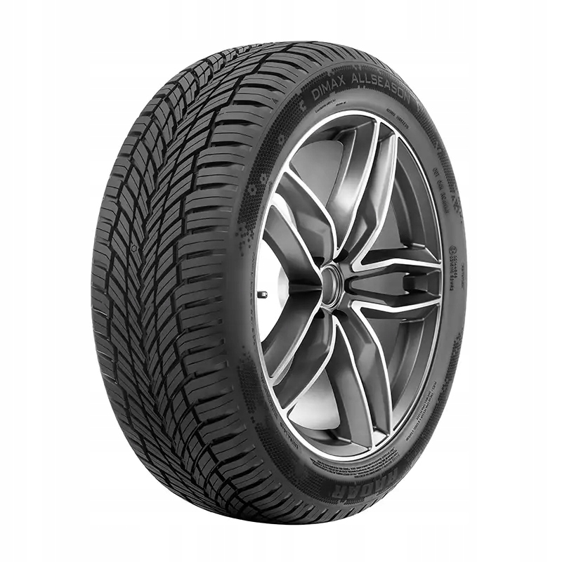 1x Pneumatika 225/45 R17 Radar Dimax All Season