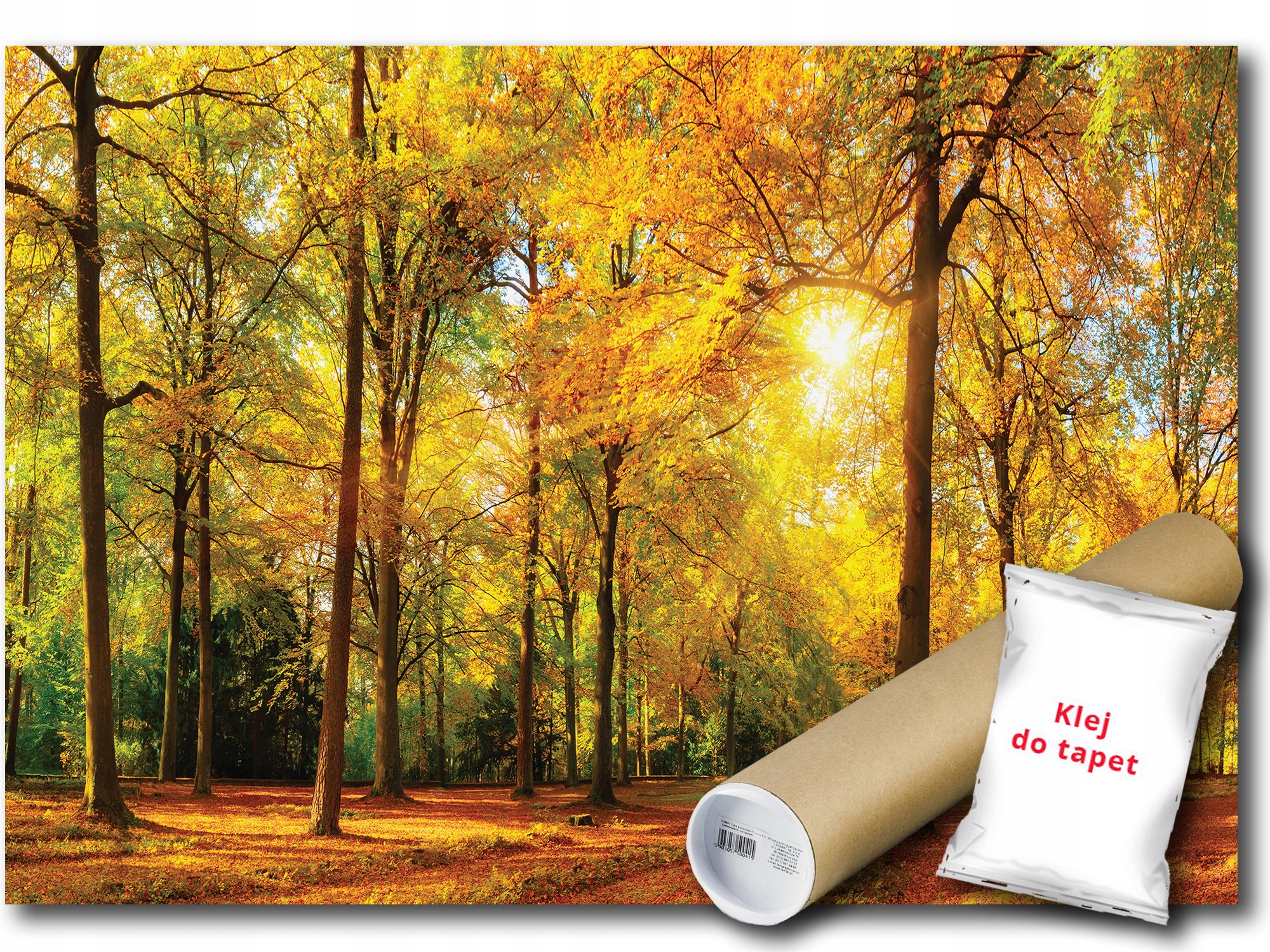 Fototapeta Flizelina Les Park Podzim 254x184