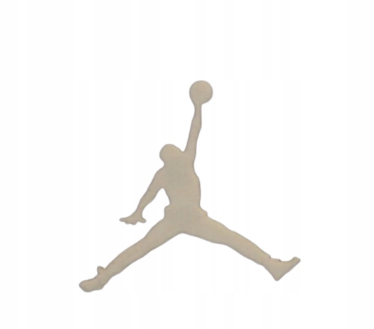 

Michael Jordan na lodówkę