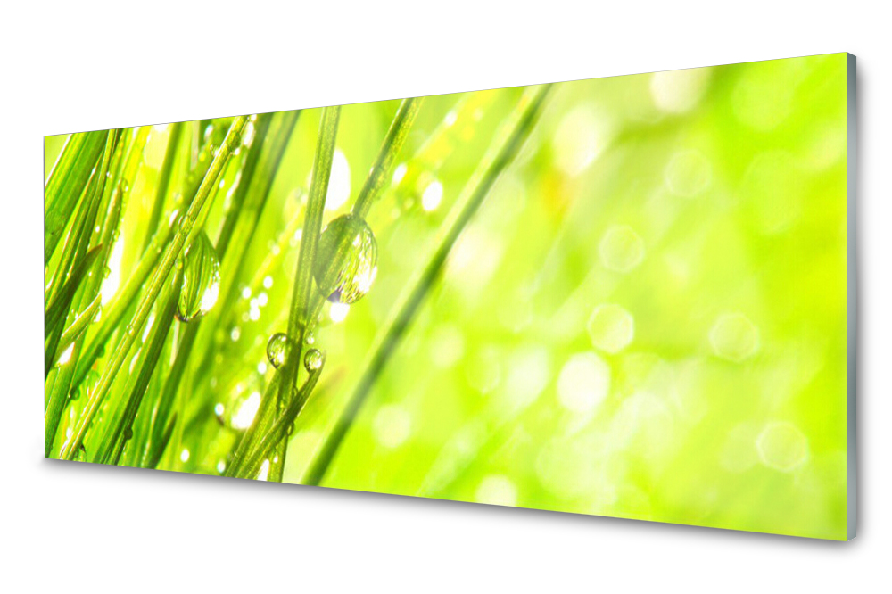 

Panel szklany do kuchni Krople Trawa 125x50