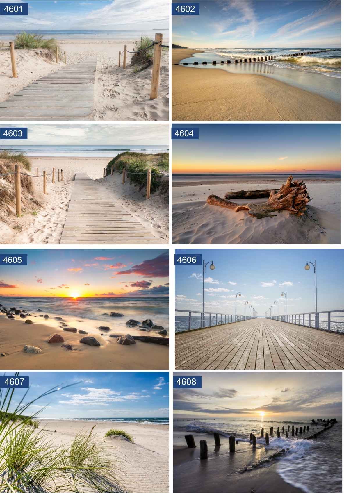 Plakat bałtyk plaża morze bałtyckie 90x60 wzory Marka EObraz