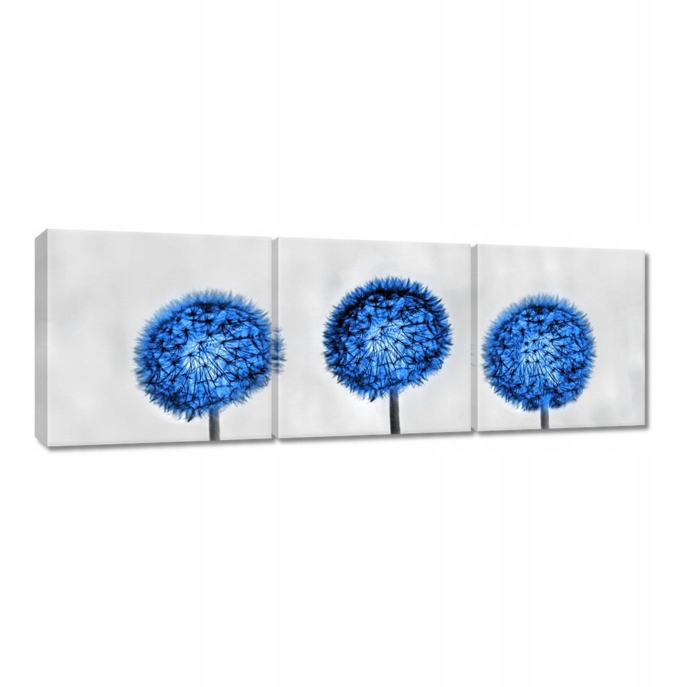 

Obraz 120x40 Niebieskie dmuchawce