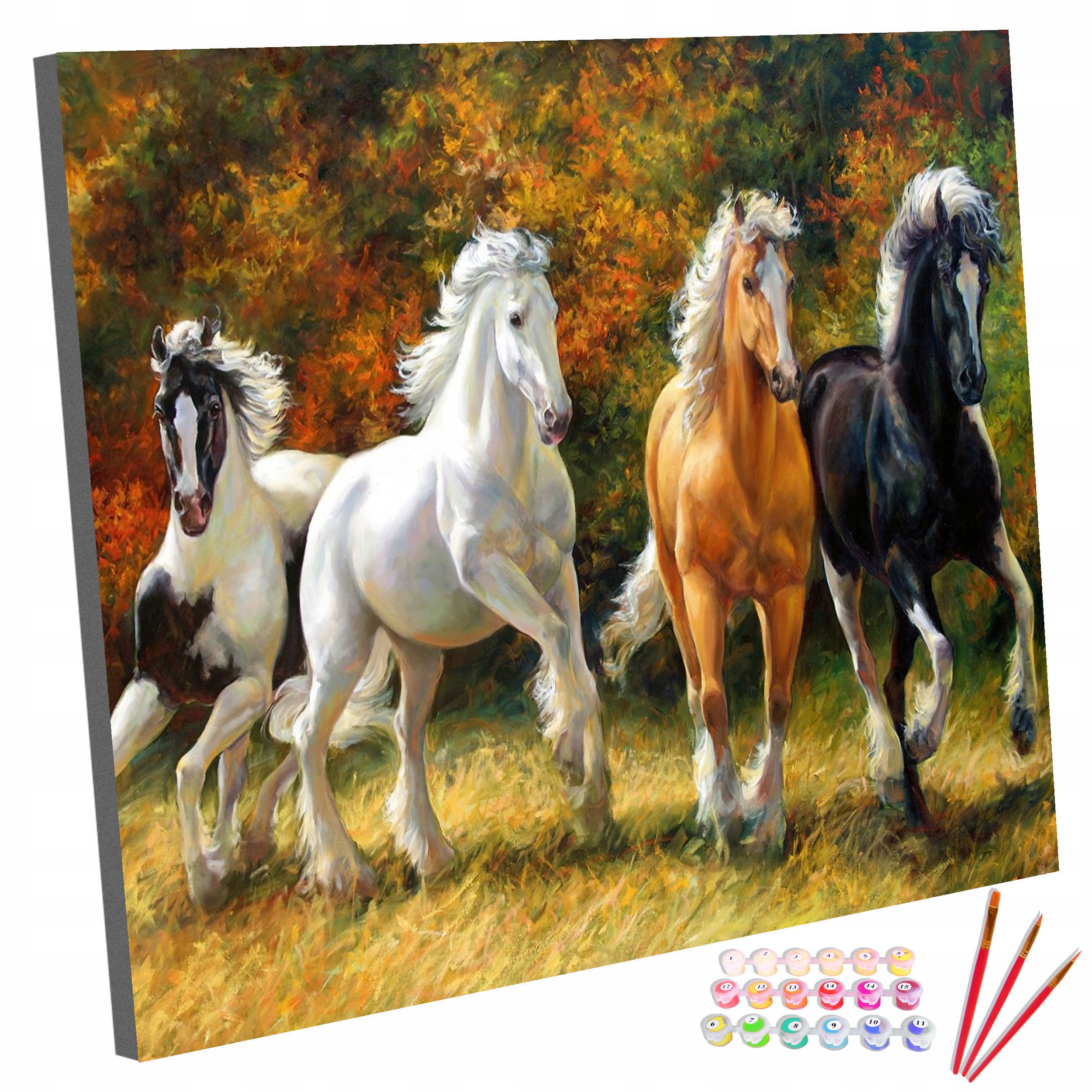 Sada Obraz na malování Malování Podle Čísel Na rámu Koně 40x50cm
