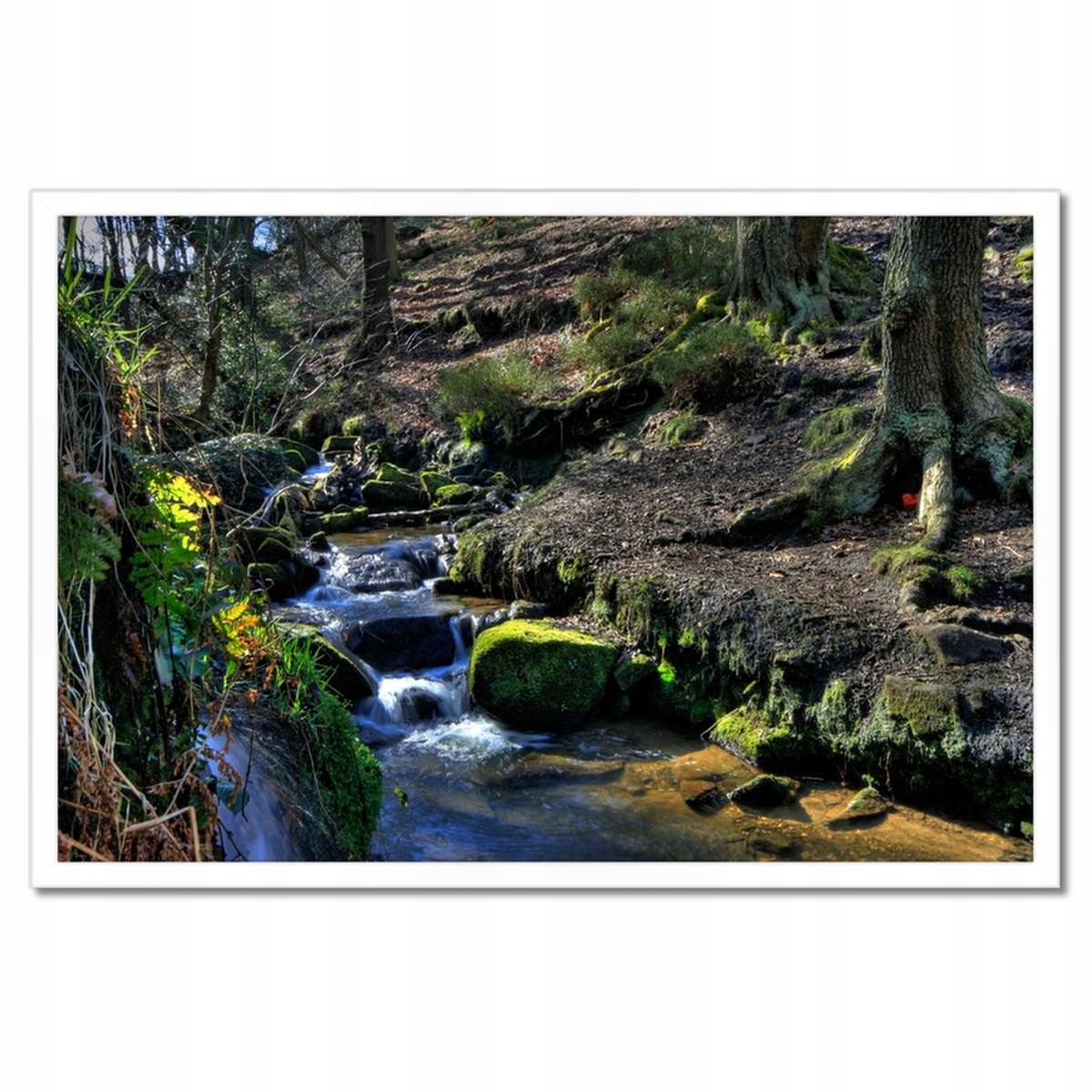 Plakáty v rámu 60x40 Horský potůček