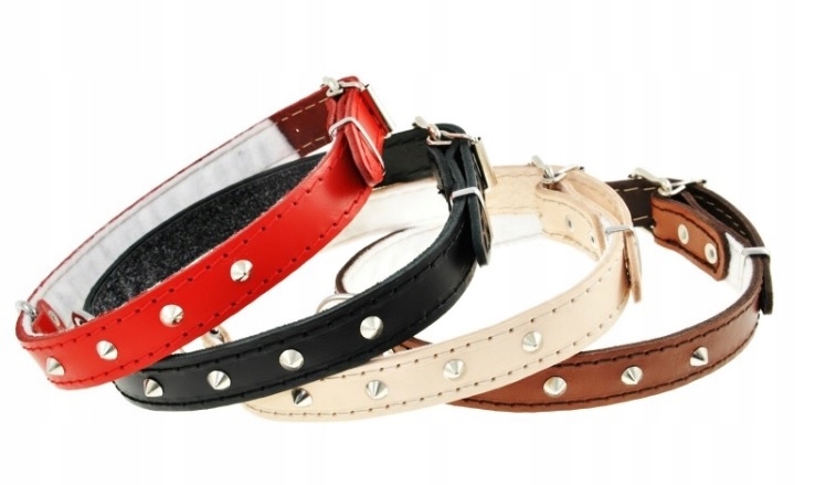 

Dino Obroża skóra ćwiek red - 18mm/47cm