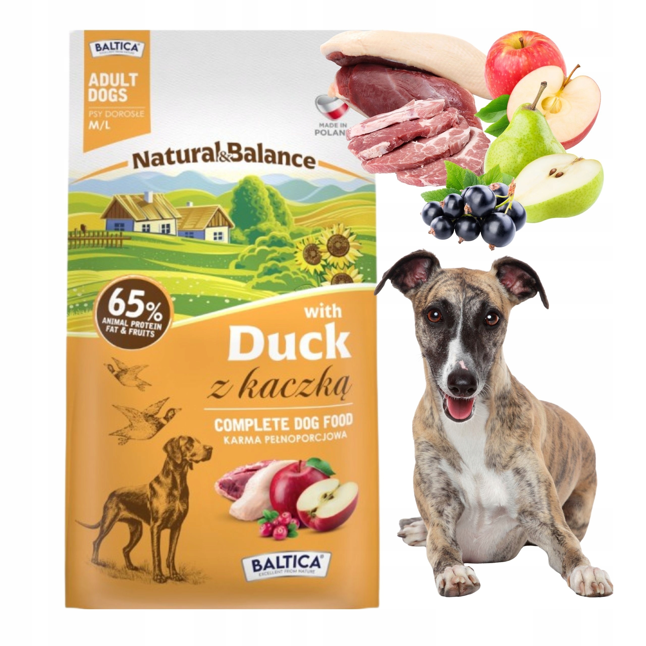 Baltica krmivo pro vybíravé psy Natural&balance Kachna S Ovocem M/L 3kg