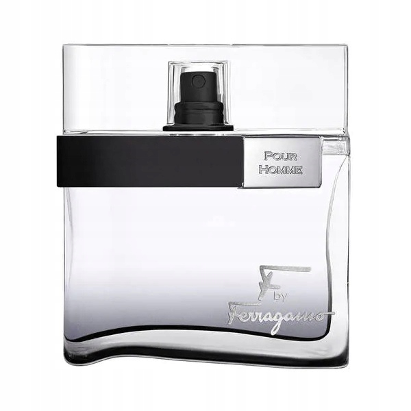 

Salvatore Ferragamo F pour homme Edt 100ml