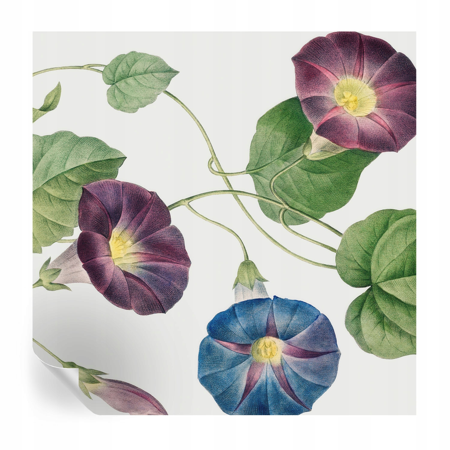 Fototapeta Samolepicí Designová módní floristická elegance 250x250