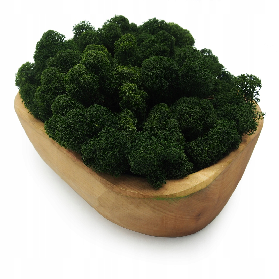 Mech chrobotek fiński 500g netto ciemny zielony Kod producenta CF500-DAR