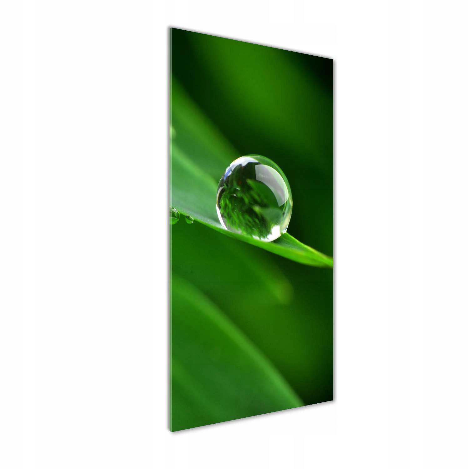 

Nowoczesny fotoobraz akrylowy Źdźbło trawy 50x125