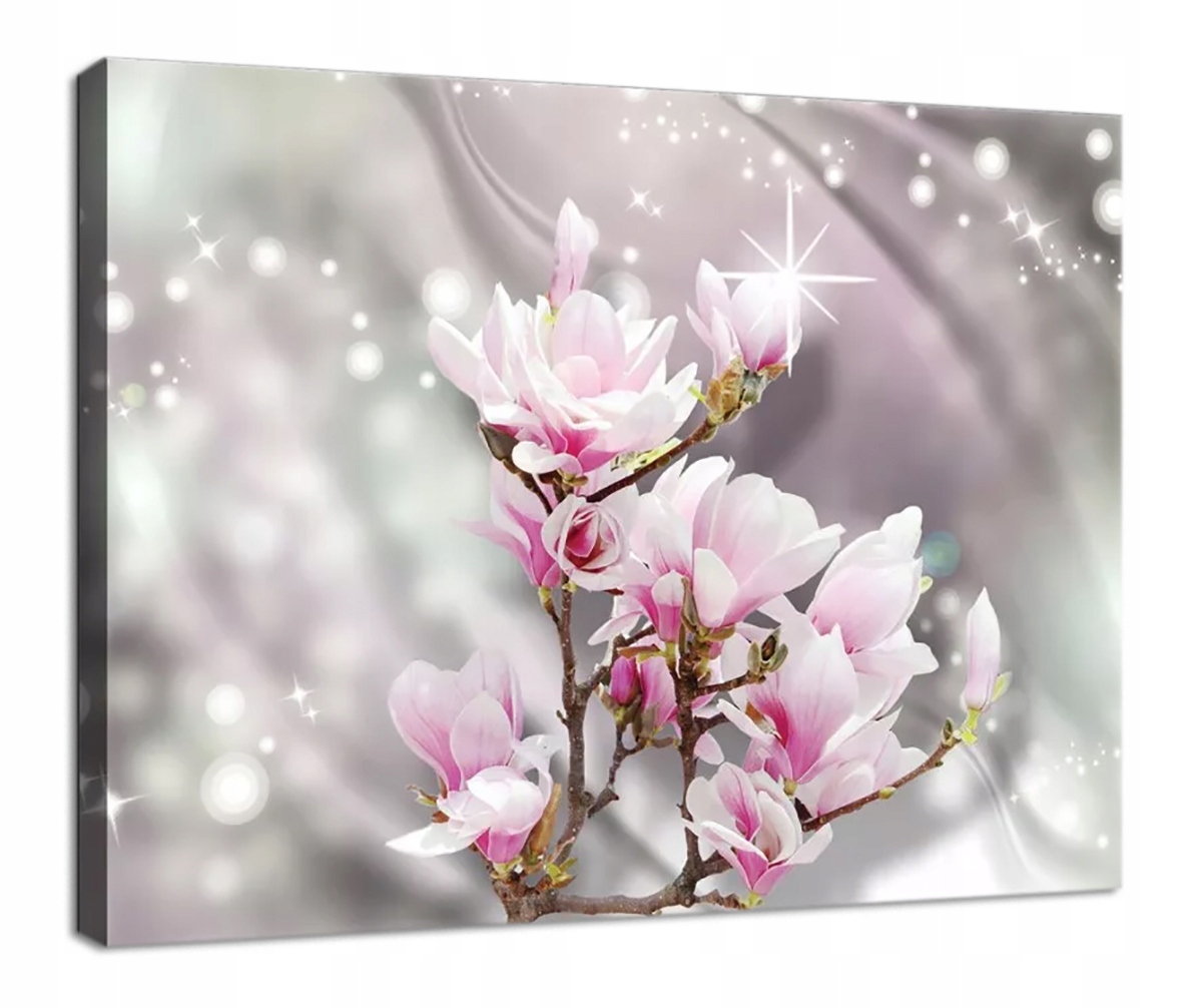 Obraz Na Plátně Canvas 80x60 Květy Magnolie