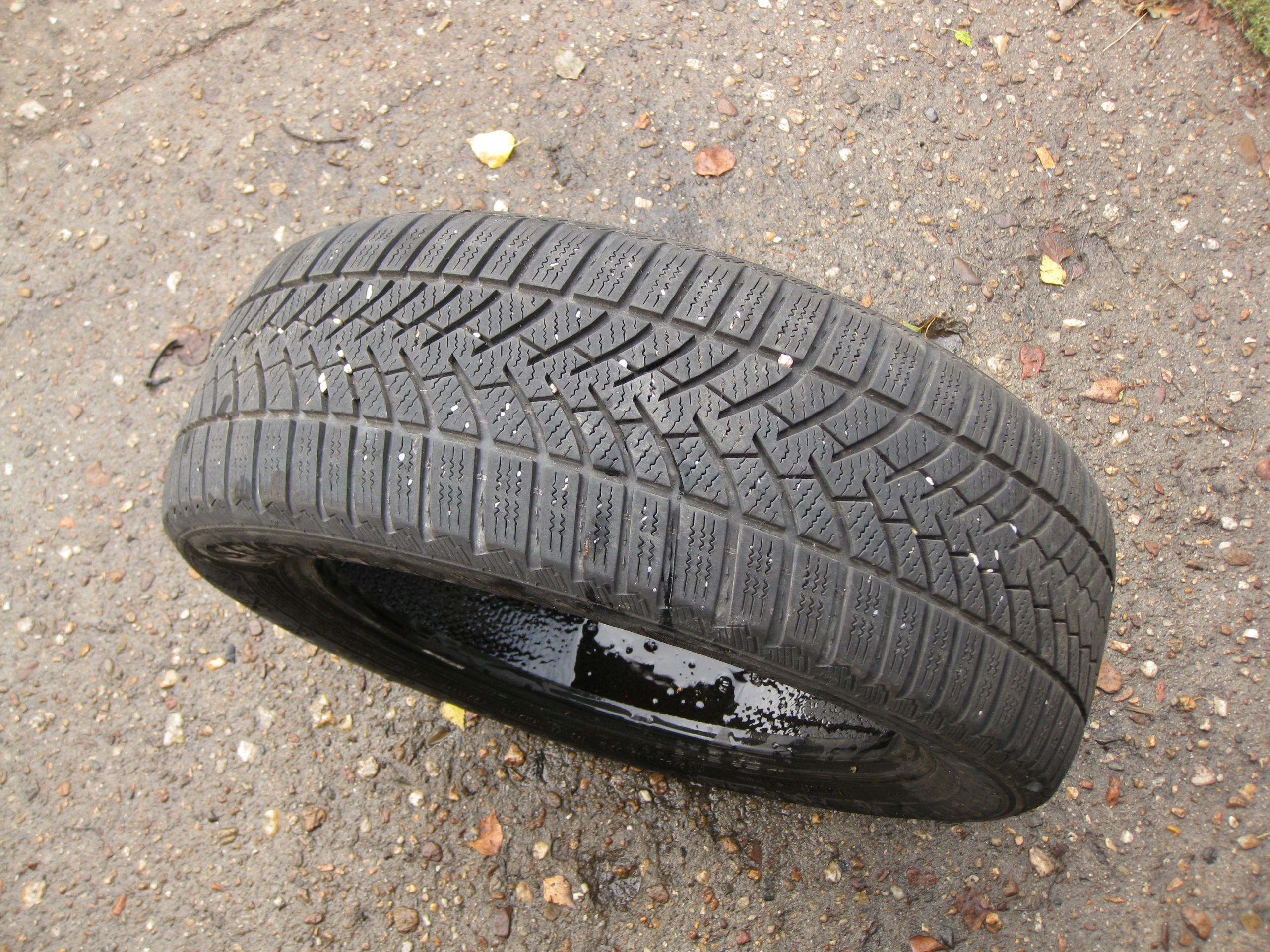 gomma ZIMOWA Semperit Speed-Grip 3 205/55R16 6MM