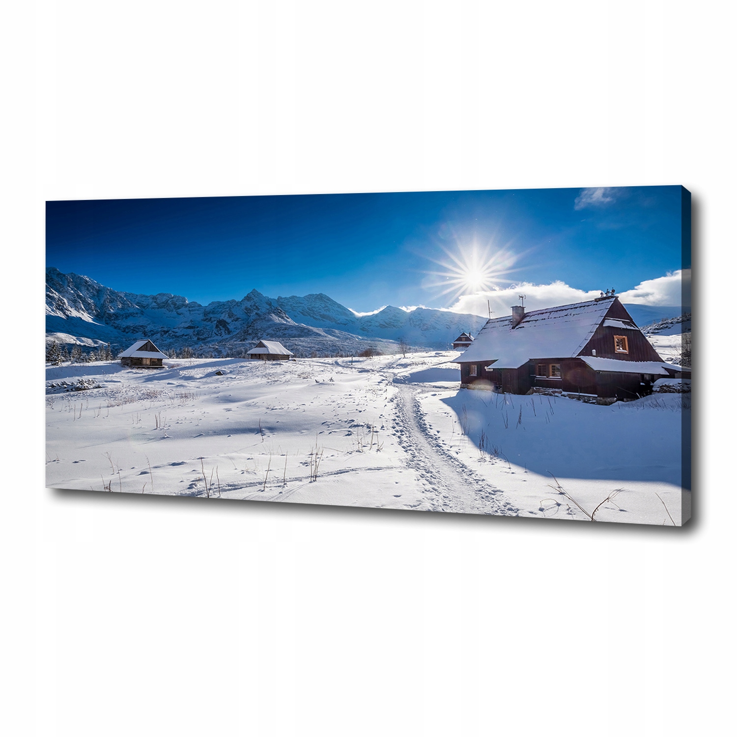 

Foto obraz canvas na ścianę Hale Tatry 125x50 cm