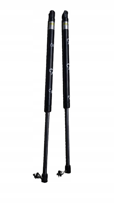 CITROEN C4 et PICASSO SILOWNIKI du capot Fixation BOLCE