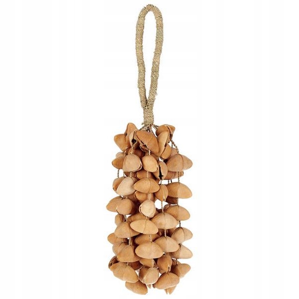Shaker Terre Seed XXL Cha Cha Nut