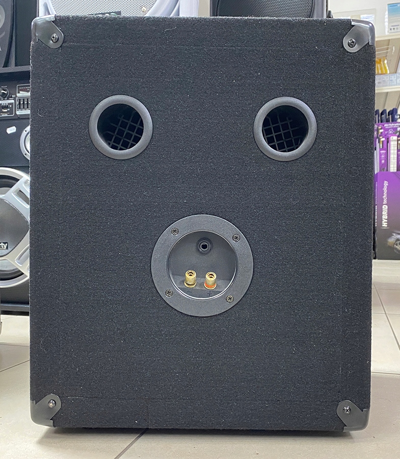 Kolumna głośnikowa pasywna Hollywood 6 głośników Marka BST