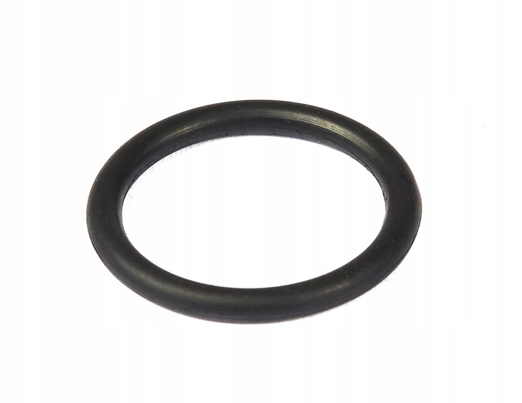 

Uszczelka Oring Kolektora Ssącego Briggs Stratton