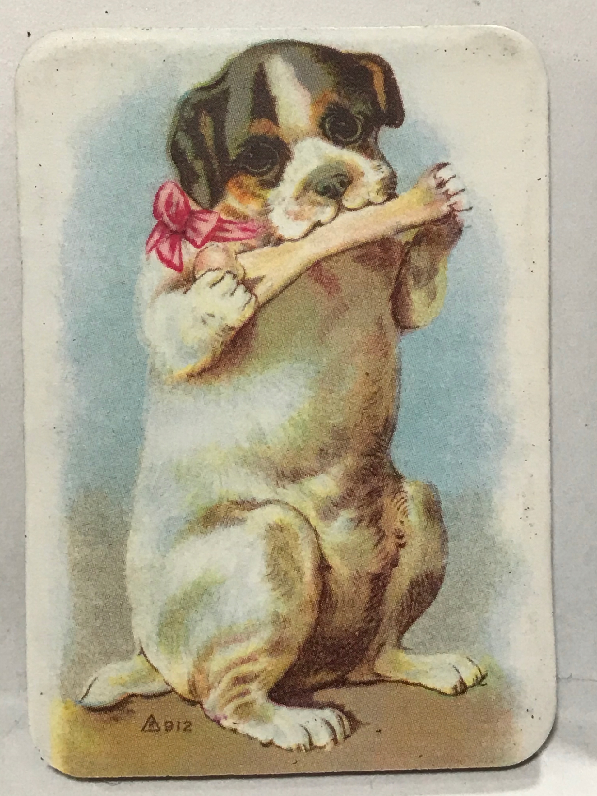 magnes Pies piesek Dog napisy ok6x4,2cm