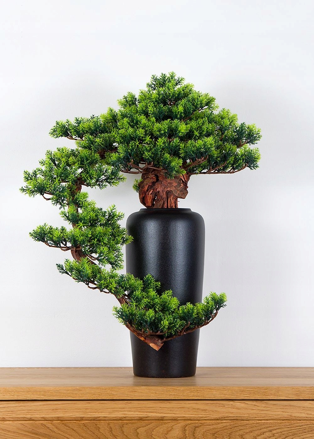 Pokojová dekorativní bonsai ve váze Borovice (PN-20)