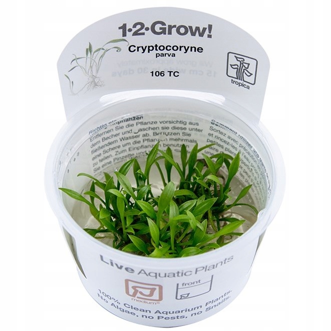 Tropica 1-2-Grow Cryptocoryne Parva - Roślina do akwarium - kubek 7cm