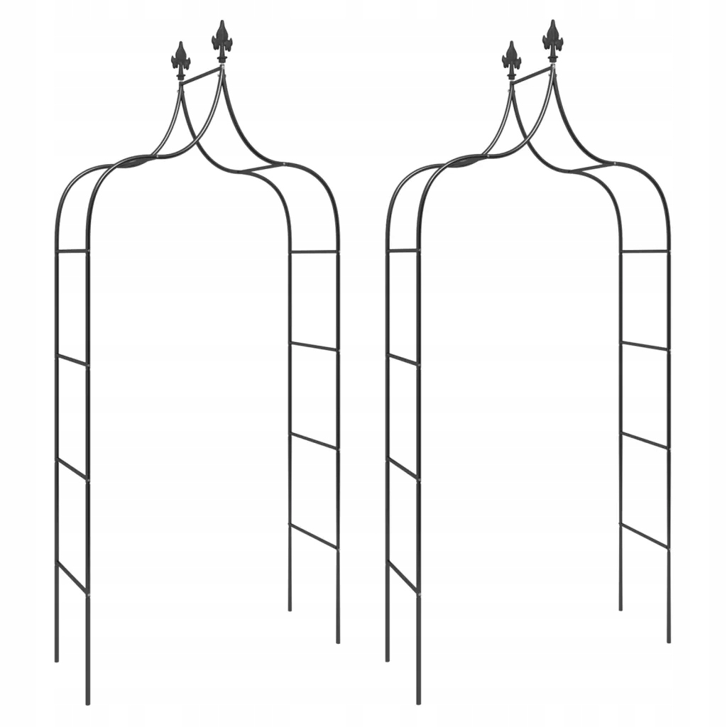 Oblouk do zahrady s ozdobnými konci, Ocel práškově lakovaná, černý, 120x3