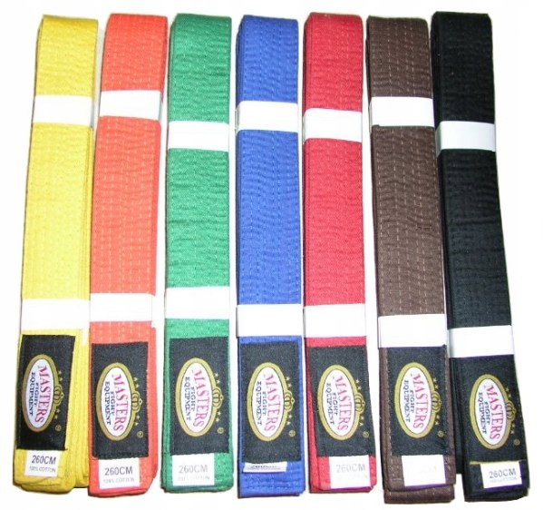 PAS DO SPORTÓW WALKI MASTERS CZERWONY 260 CM