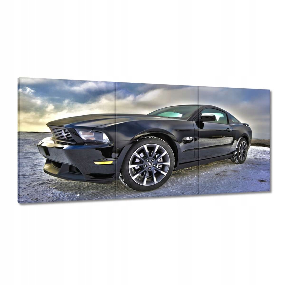 Obrazy 210x100 Ford Mustang v zime