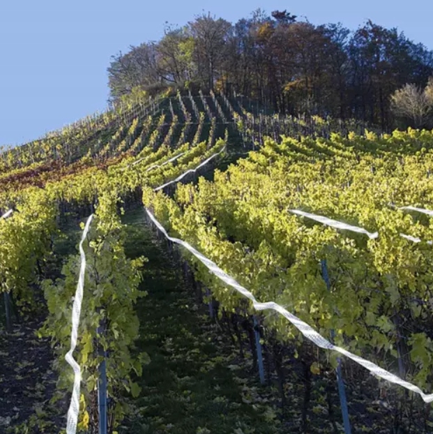 ODSTRASZACZ PTAKÓW TAŚMA ODSTRASZAJĄCA PTAKI 80m Rodzaj inny