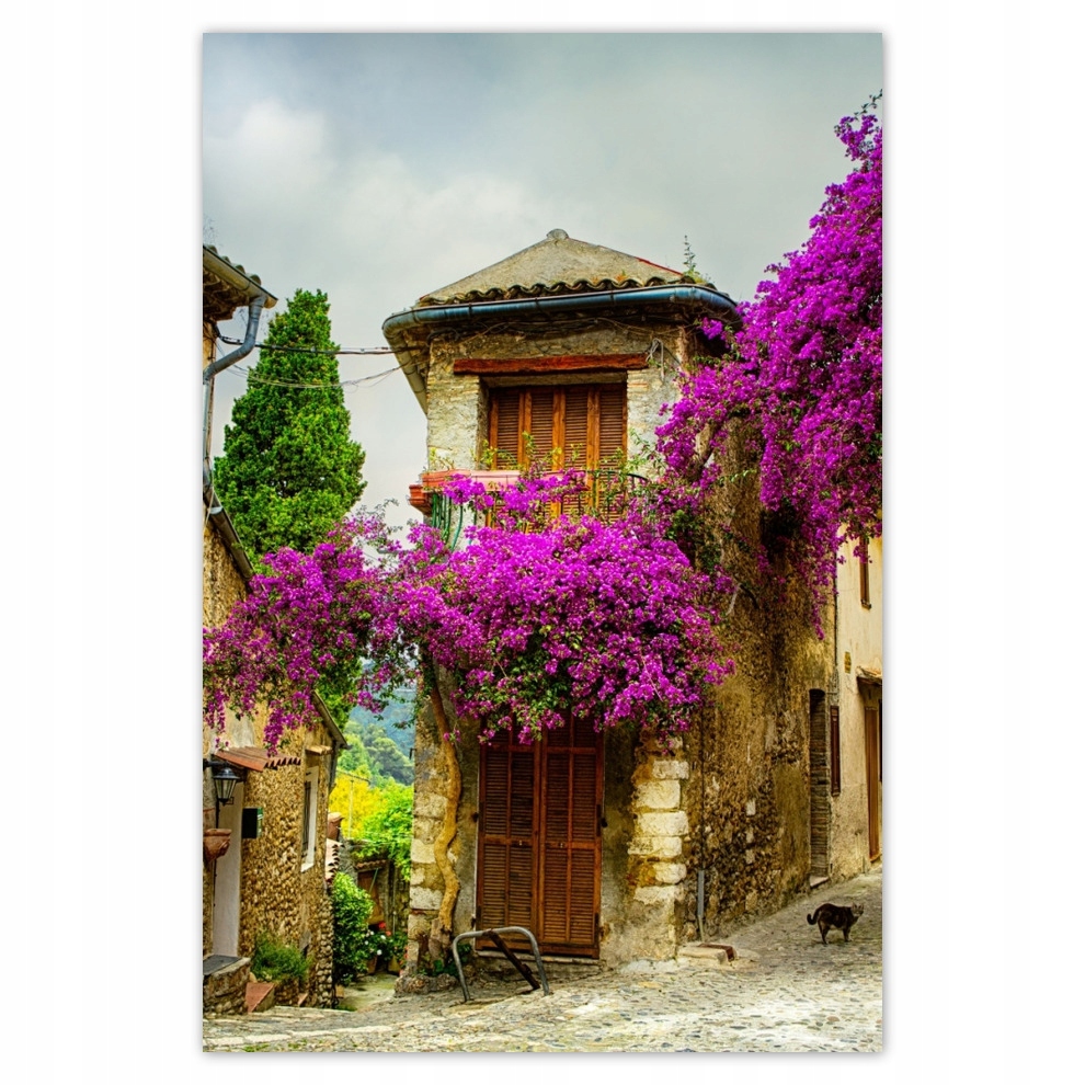 

Plakaty 62x93 Stare kamieniczki