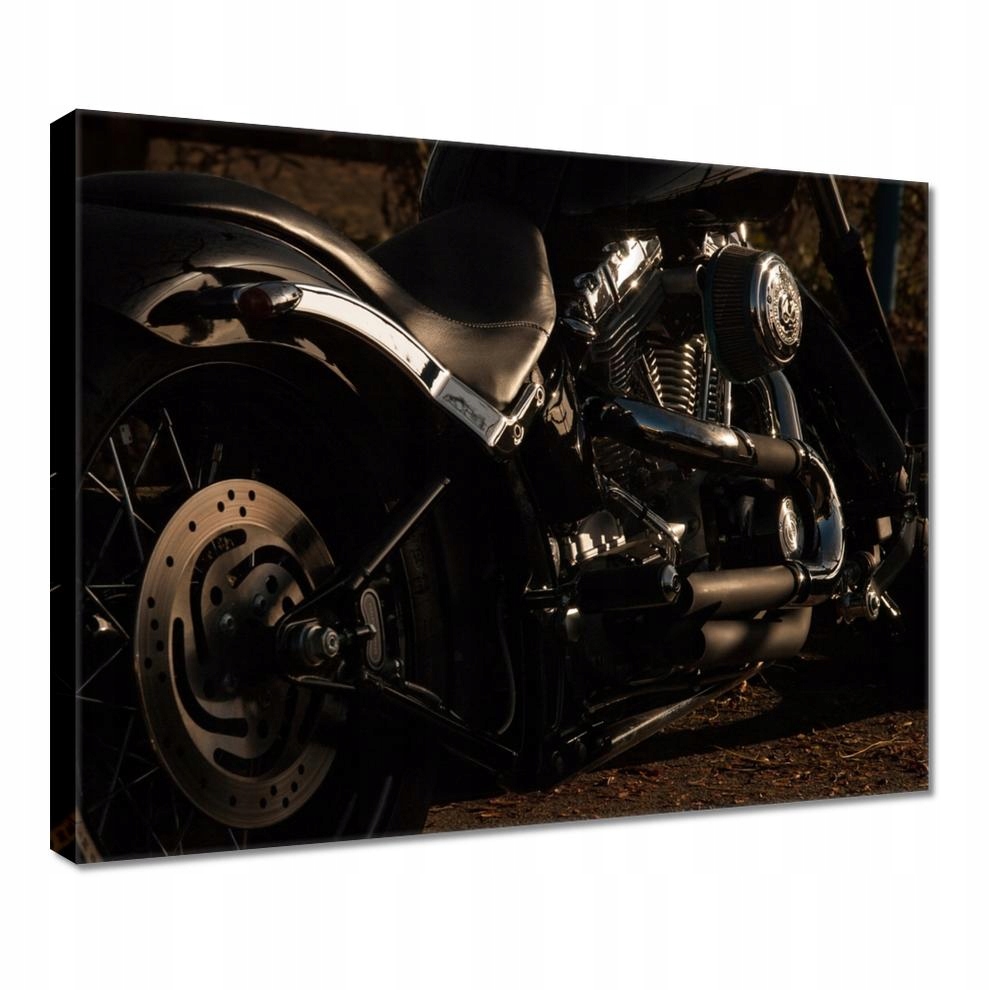 

Obrazy 50x40 Harley Davidson