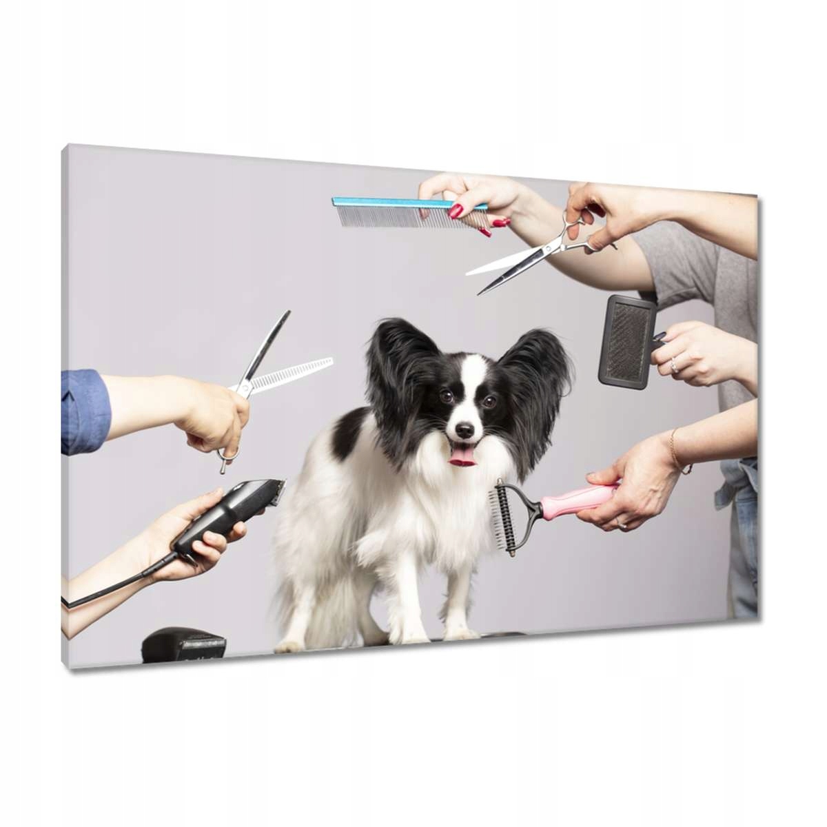Obrazy 90x60 Salon krásy pro psa
