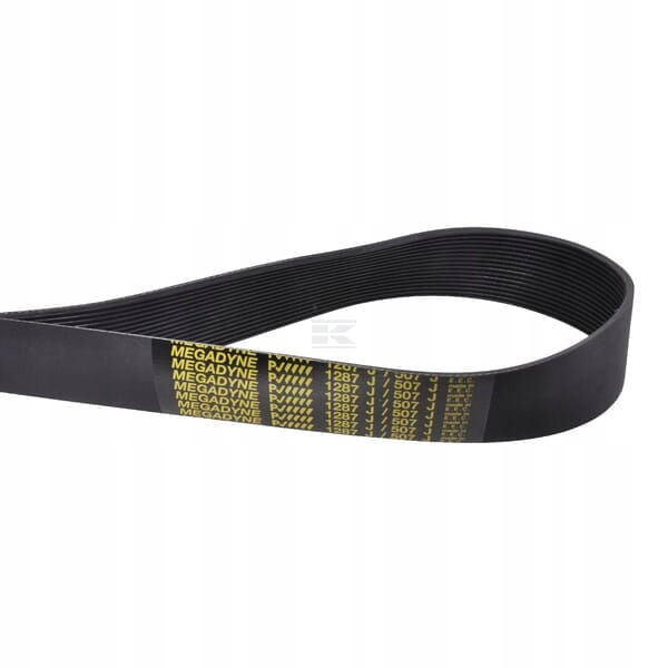 Pásek pro ventilátor F06010160R