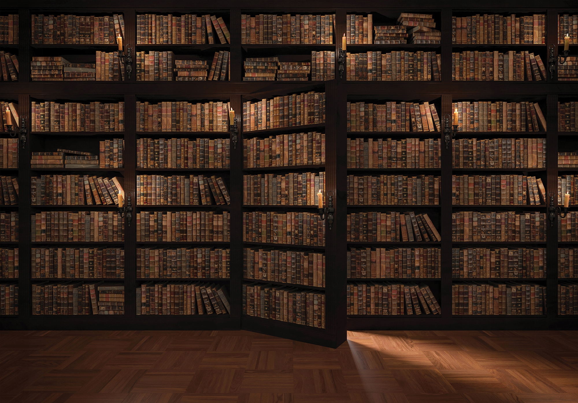 

Fototapeta Biblioteczka Książki Regał XXL 368x254