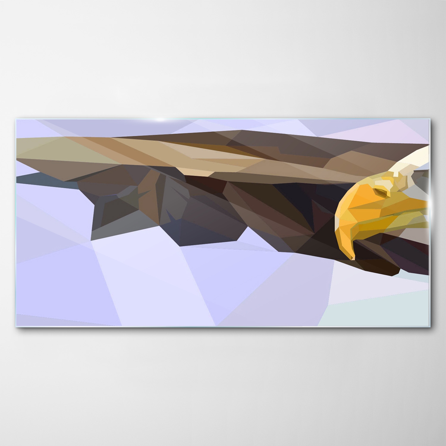 

Obraz na Szkle Dekor Ptak Zwierzęta Orzeł 120x60
