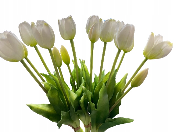 

Tulipan Tulipany Silikonowe Bukiet Jak Żywe