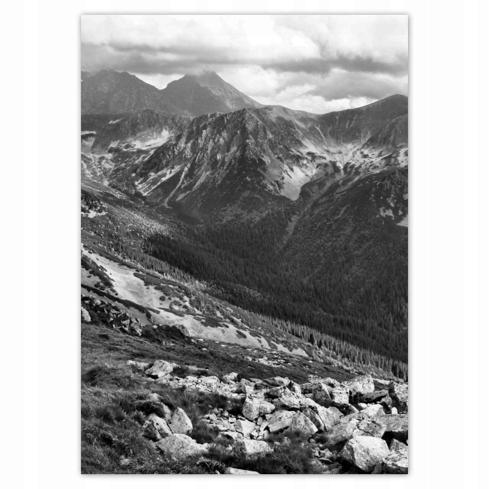 

Naklejki 50x70 Tatry Polskie góry Widok