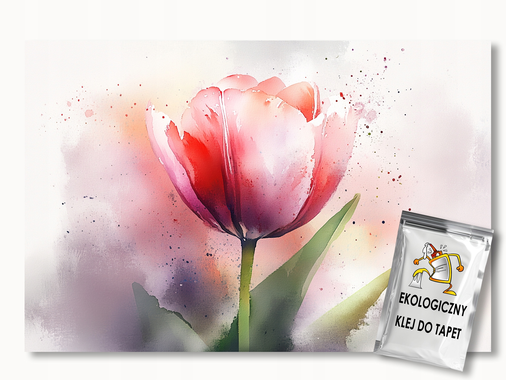 Fototapeta Flizelina Akvarel Příroda Květ Červený Tulipán 150x105 155g