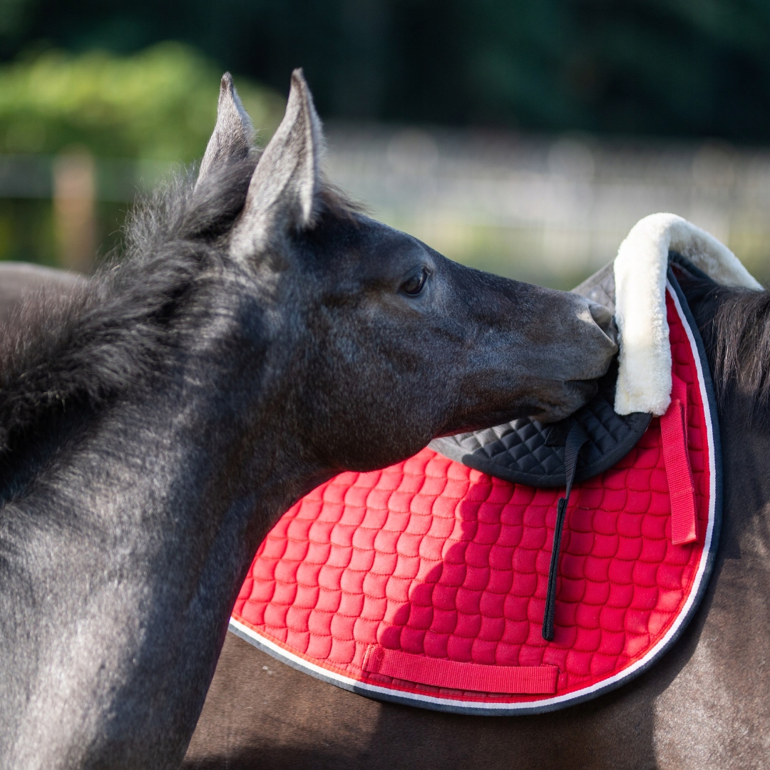 Podkładka pod siodło START FurArtificial futerko Model FurArtificial