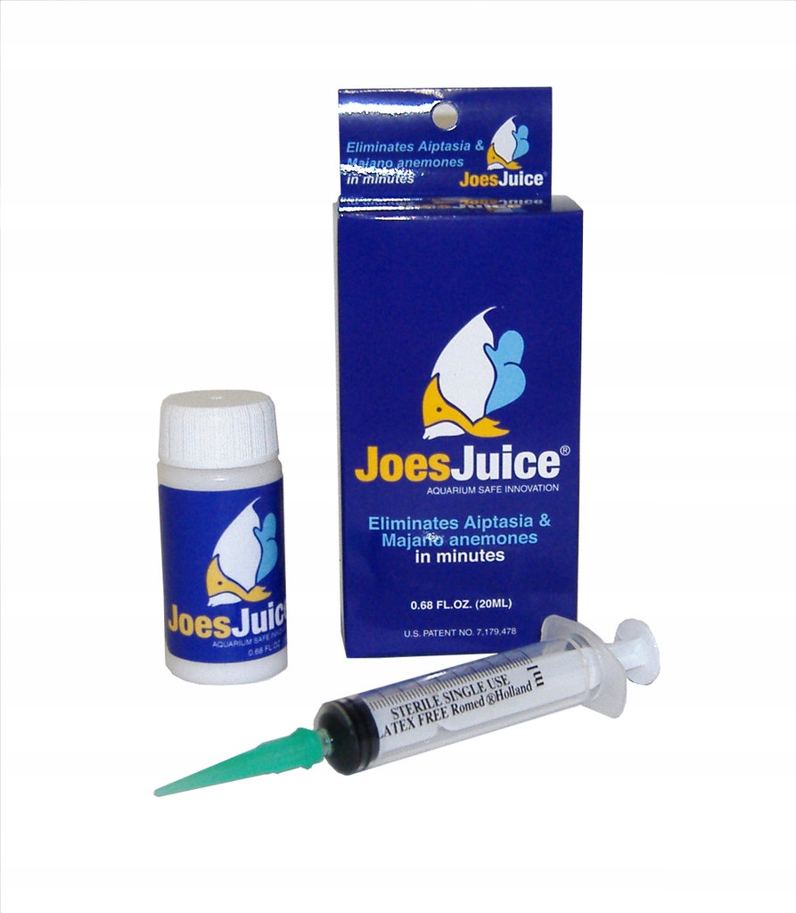 

JoesJuice preparat zwalczający aiptasie