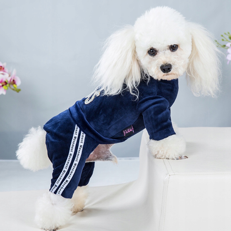 Moda list pies ubrania dla psów płaszcz bluza