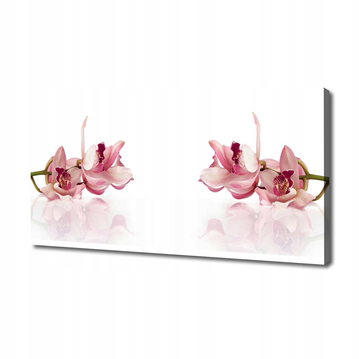 Fotoobraz canvas na zeď Orchidej 140 x 70 cm