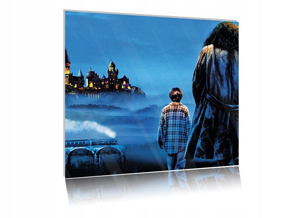 

Obraz szklany na szkle Harry Potter 04 50x50