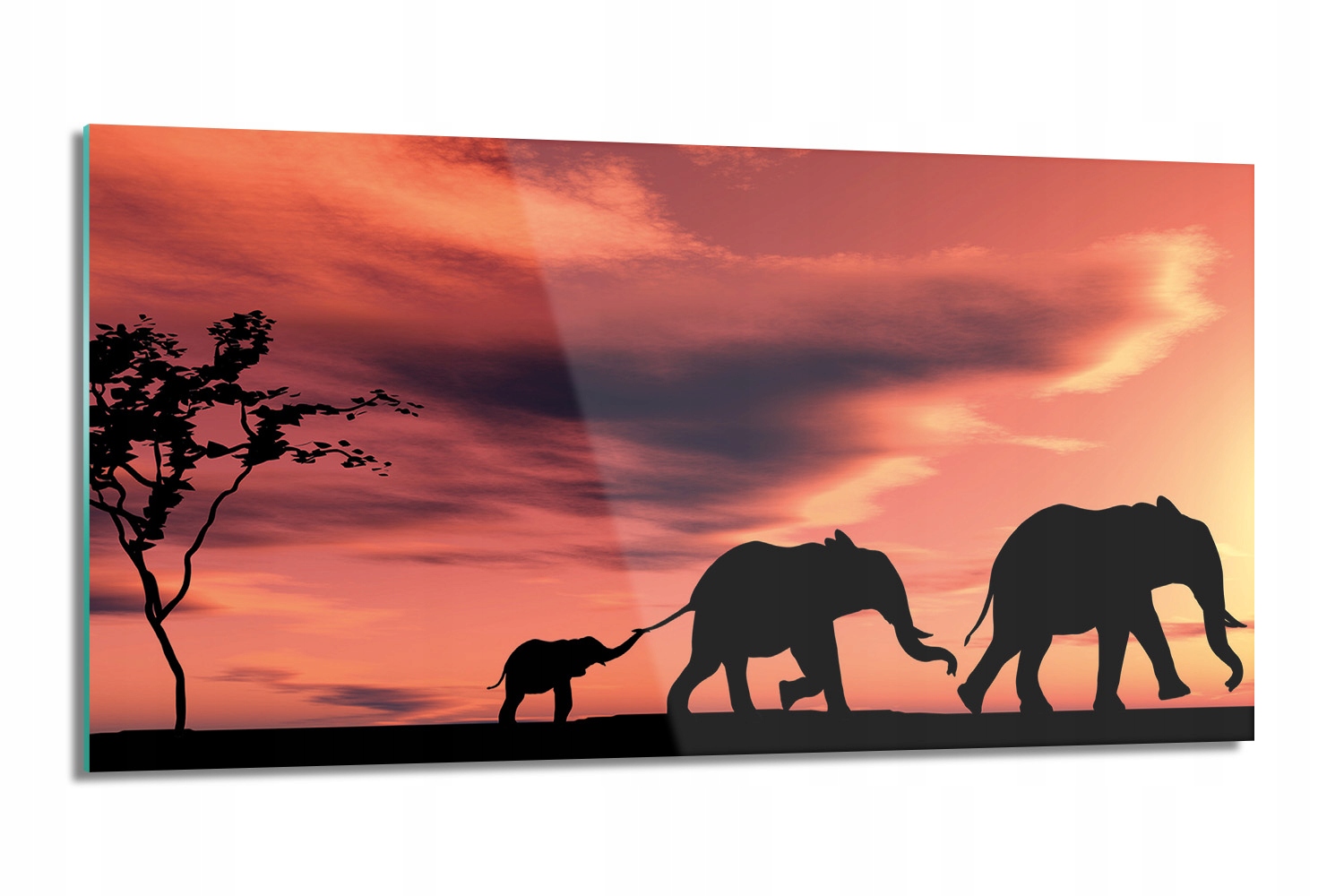 Kuchyňský panel s fotografií Sloni západ slunce 100x50