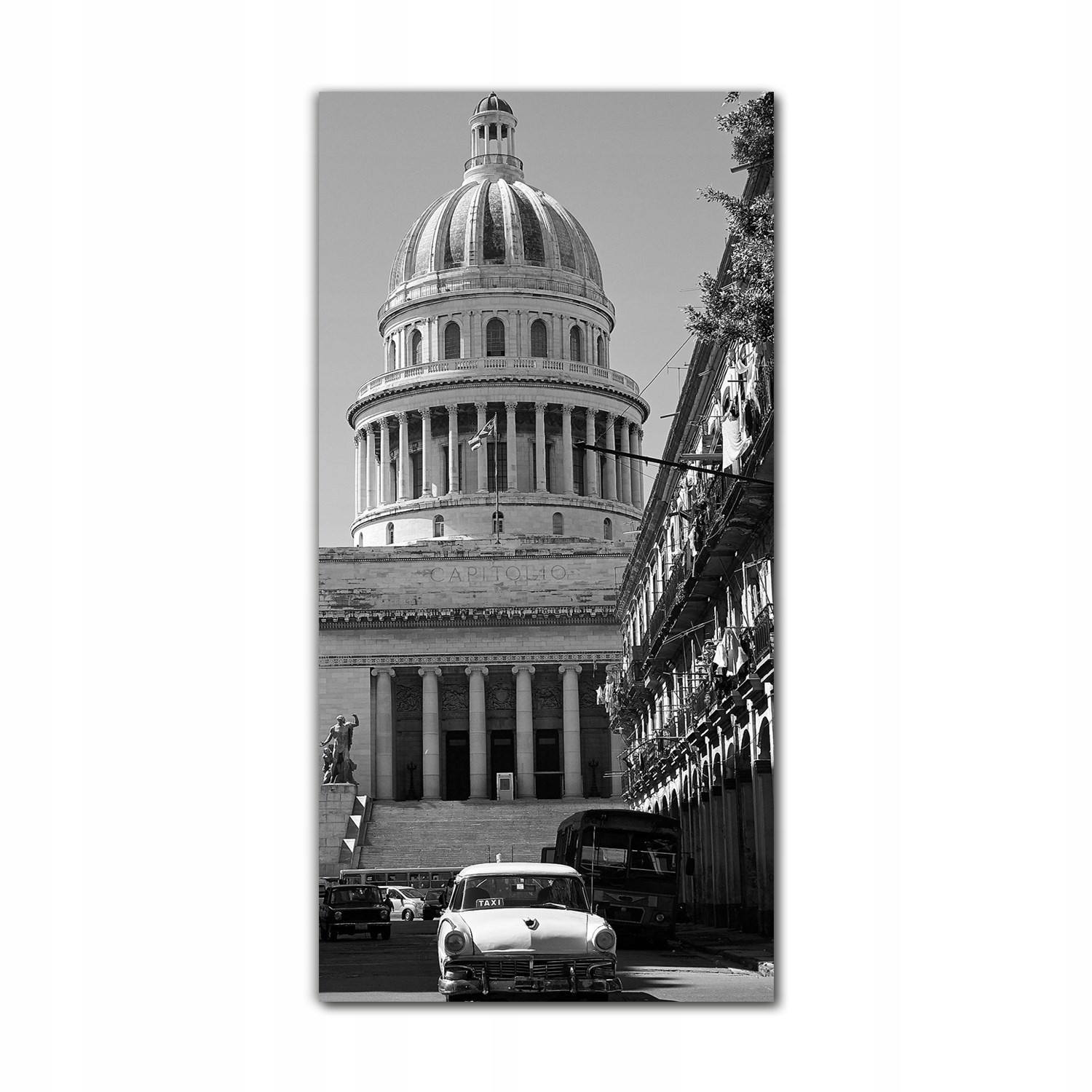 

Obraz ścienny szklany 70x140 Czarno-biały Hawana