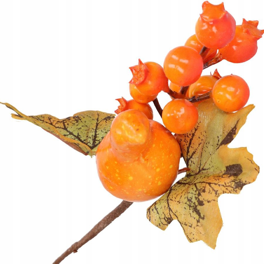 

Jesienne Gałązka Dynia Liście Jesienne Na Stroik