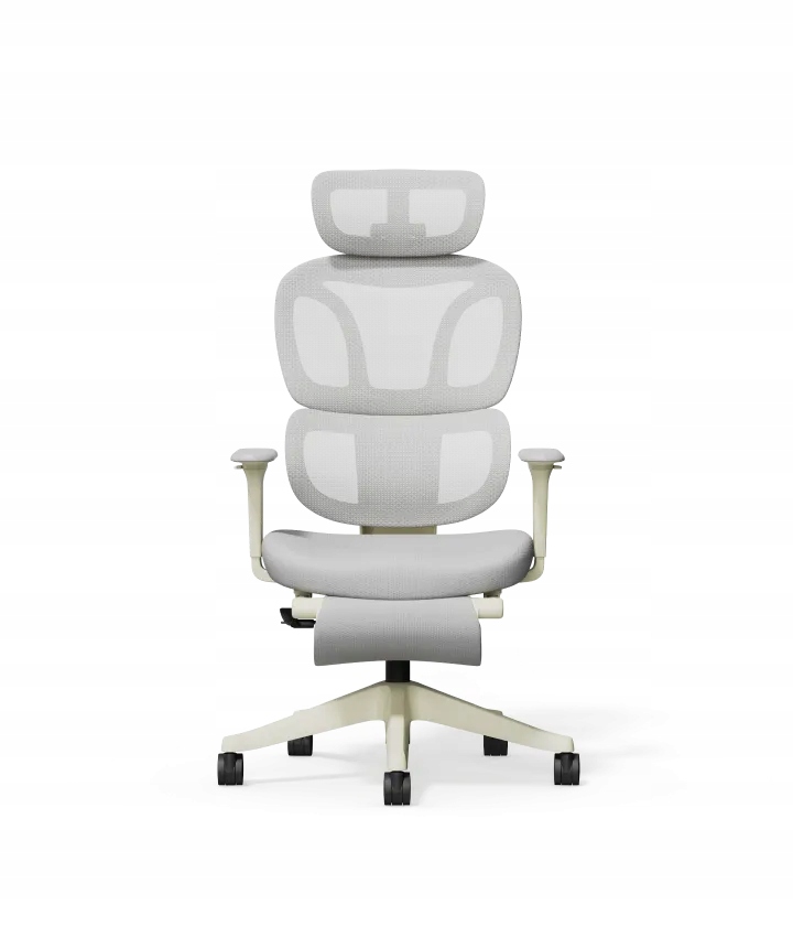 FOTEL ERGONOMICZNY BIUROWY Z PODNÓŻKIEM SIATKA SZARY BS5 FLEXISPOT